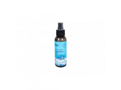 Ароматизатор "Спрей" Леденящий восторг