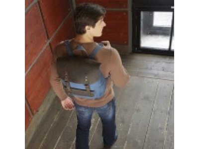 Рюкзак Lexus Backpack, Casual, Green-Brown, артикул LMCC00027L